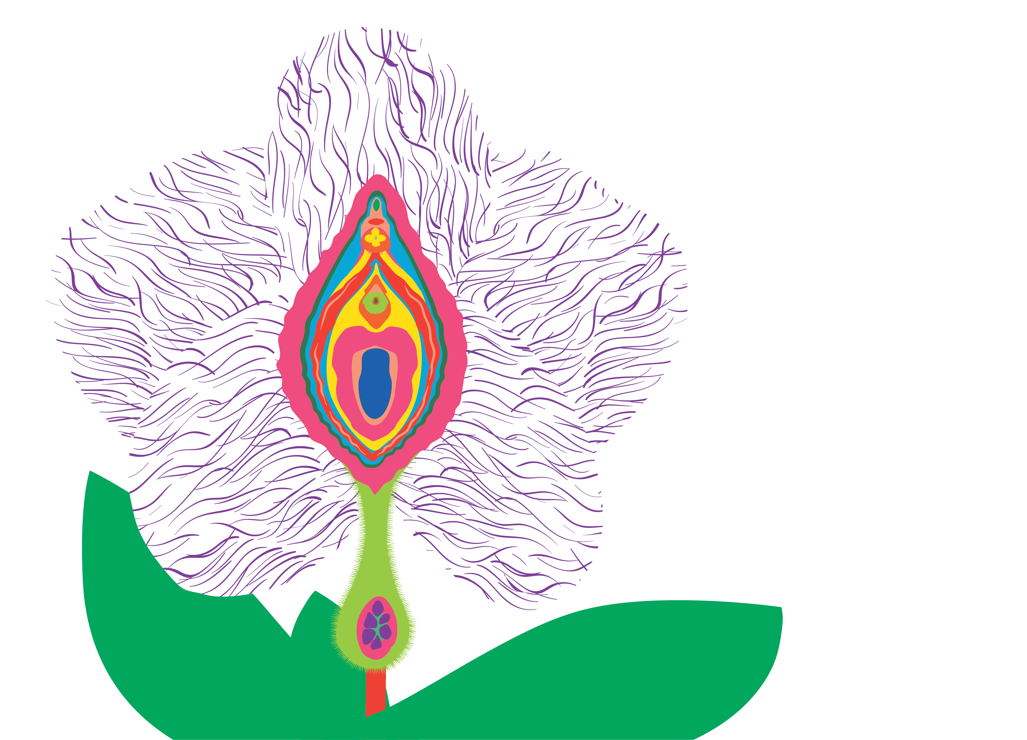 Illustrazione floreale da Oscenica